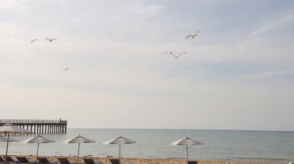 Découvrez les délices de la mer au baligan à Cabourg